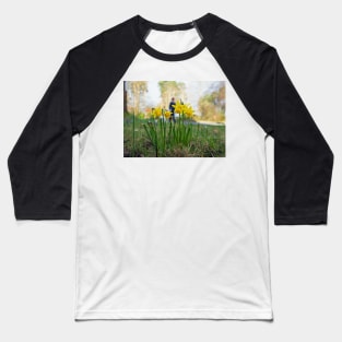 Yellow daffodils. Spring is coming stay active Baseball T-Shirt